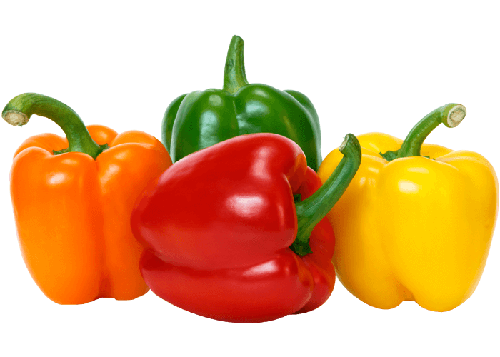 Capsicum